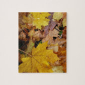 落ち葉 黄色い紅葉の自然 ジグソーパズル (縦)