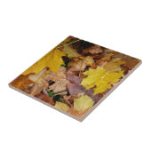 落ち葉 黄色い紅葉の自然 タイル (側面)