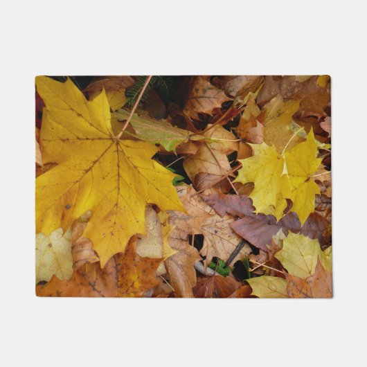 落ち葉 黄色い紅葉の自然 ドアマット (正面)