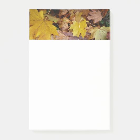 落ち葉 黄色い紅葉の自然 ポストイット (正面)