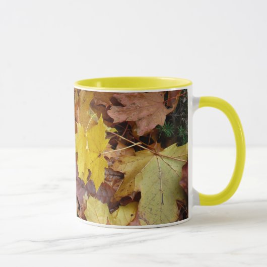 落ち葉 黄色い紅葉の自然 マグカップ (右)
