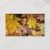 落ち葉 黄色い紅葉の自然 名刺 (裏面)