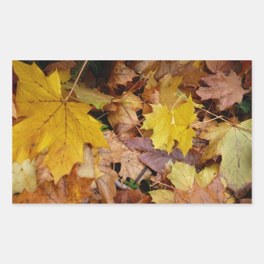 落ち葉 黄色い紅葉の自然 長方形シール (正面)