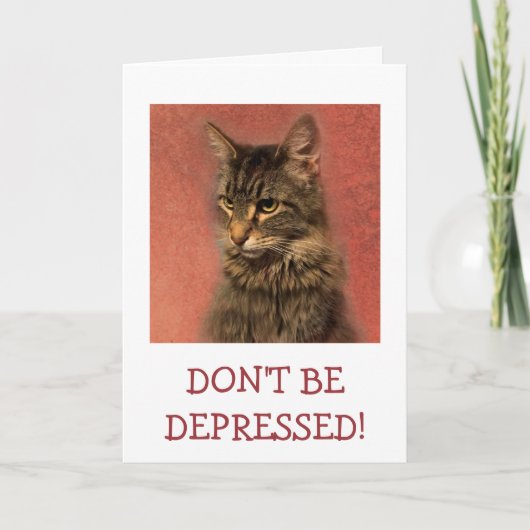 落ち込んではいけない、50素敵な猫誕生日 カード (正面)