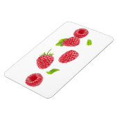 落下するラズベリー マグネット (左側)