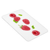 落下するラズベリー マグネット (右側)