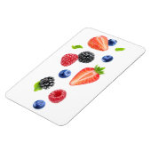 落下する果実 マグネット (左側)