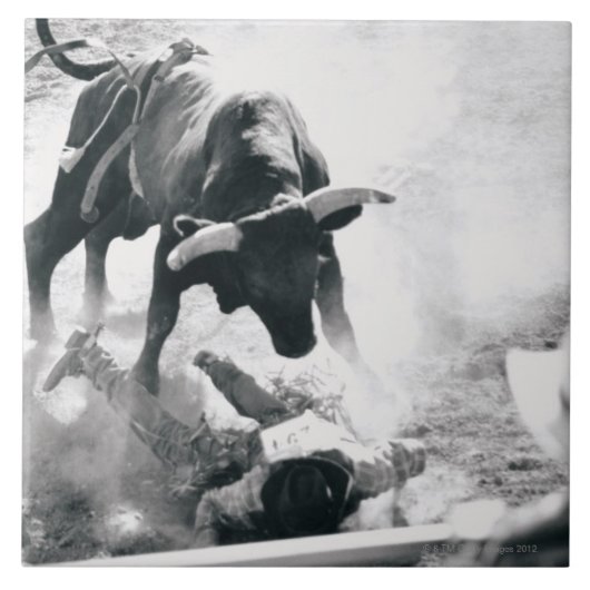 落下の後の雄牛地面のカウボーイ タイル (正面)