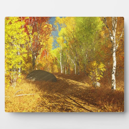 落下光写真斑 フォトプラーク (正面)