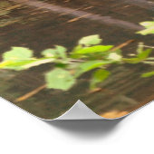 落下春ミル ポスター (角)