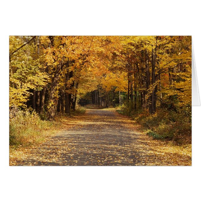 落下葉 (正面横)