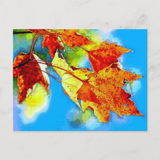 落下葉 ポストカード (正面)