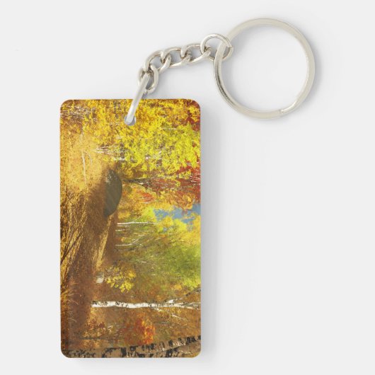 落光アクリル系キーチェーン キーホルダー (裏面)