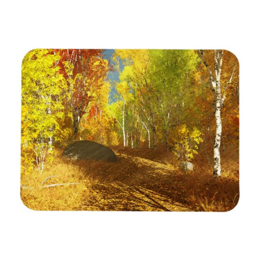 落光可撓性磁石 マグネット (横)