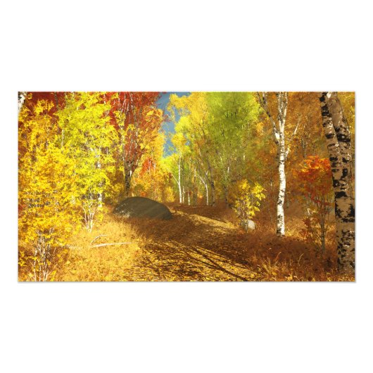 落光撮影プリント フォトプリント            (正面)