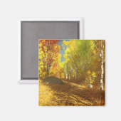 落光磁石 マグネット (正面/裏面)