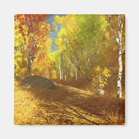 落光磁石 マグネット (正面)