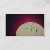 落日に対してシルエットを描かれるカナダのガチョウ 名刺 (裏面)