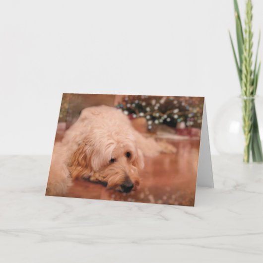 落書きのクリスマスカード シーズンカード (正面)