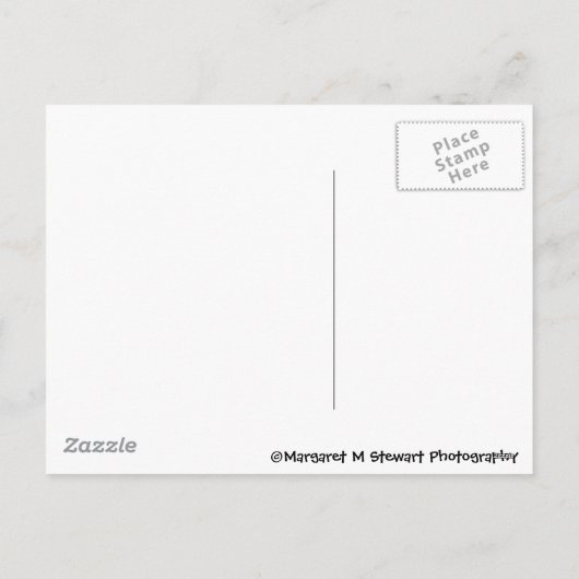 落書きのクリスマス シーズンポストカード (裏面)