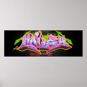 落書きの一流のHailey ポスター