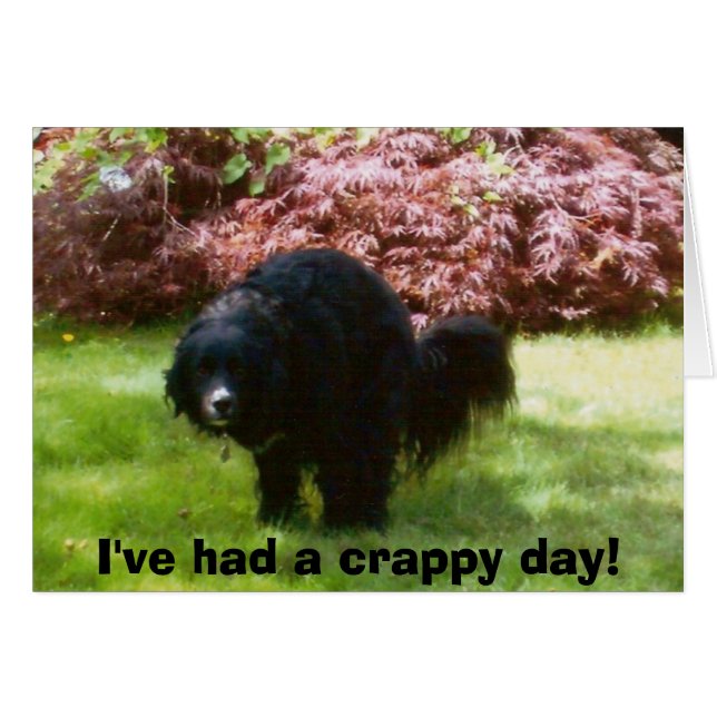 落書き、私はcrappy日を過しました! (正面横)