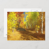 落葉書 ポストカード (正面/裏面)