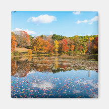 落葉樹に囲まカラフルれた池