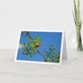 落葉樹に実をつける カード (正面)