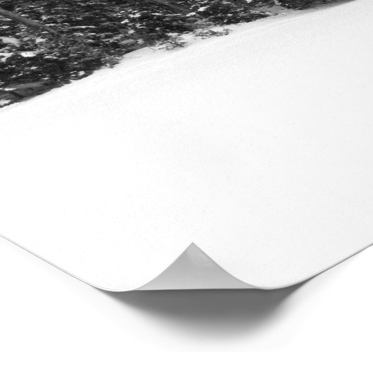 落雪した冬林の木 ポスター (角)