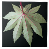 葉および茎 タイル (正面)