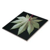 葉および茎 タイル (側面)