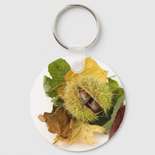葉が付いている甘いConker キーホルダー