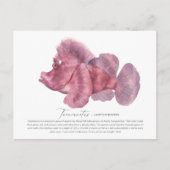 葉さそり魚はがき シーズンポストカード (正面)