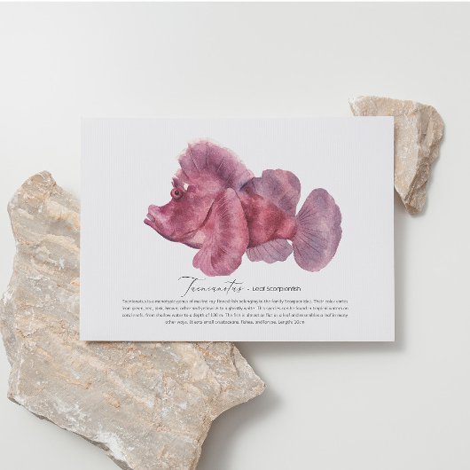 葉さそり魚はがき シーズンポストカード