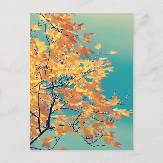 葉っぱのモノだ1 ポストカード (正面)