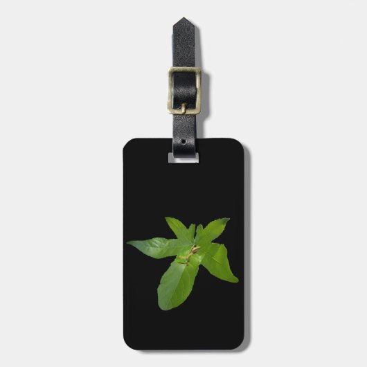 「葉っぱの避難所:ブドウの葉に覆われた小さな緑のカエル」 ラゲッジタグ (正面縦)