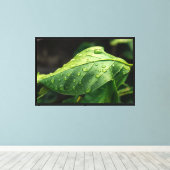 葉っぱ、緑、植物学 キャンバスプリント (インサイチュ (ウッドフロア))