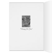 葉で眠っているアカギツネの野性生物は芸術カードを消します (内側 (左))