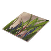 葉と影 タイル (側面)