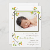 葉と枝の出産発表 案内状 (正面/裏面)