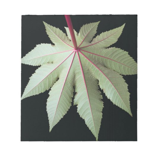 葉と茎 ノートパッド (正面)