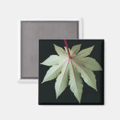 葉と茎 マグネット (正面/裏面)