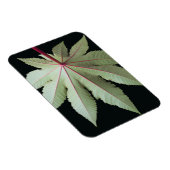 葉と茎 マグネット (右側)