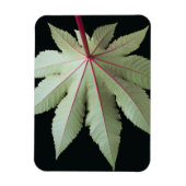 葉と茎 マグネット (縦)