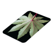 葉と茎 マグネット (左側)