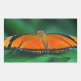 葉にいる明るいオレンジ色と黒の蝶 長方形シール
