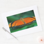 葉にいる明るいオレンジ色と黒の蝶 長方形シール (封筒)