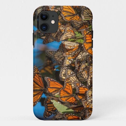 葉にしがみつく渡り中のオオカナダモナカチョウ Case-Mate iPhoneケース (裏面)