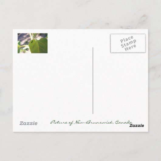 葉にアリ ポストカード (裏面)